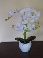 Orchidee 50cm weiss 4 Stränge Niedersachsen - Wildeshausen Vorschau