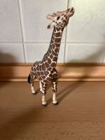 Schleich Giraffe Rheinland-Pfalz - Trier Vorschau