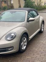 Volkswagen New Beetle Niedersachsen - Bad Bevensen Vorschau