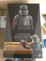 Hot toys transport trooper 1:6 star wars Hessen - Hainburg Vorschau