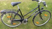 Damen Trekking Fahrrad KTM Ventero, 51 cm Rahmenhöhe, Niedersachsen - Braunschweig Vorschau