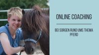 Online Coaching bei Sorgen rund ums Pferd / Pferdegesundheit Hessen - Homberg (Efze) Vorschau