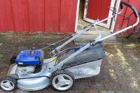 Lux Benzin-Rasenmäher Briggs & Stratton 650 Series 190cc mit Korb Niedersachsen - Oldenburg Vorschau