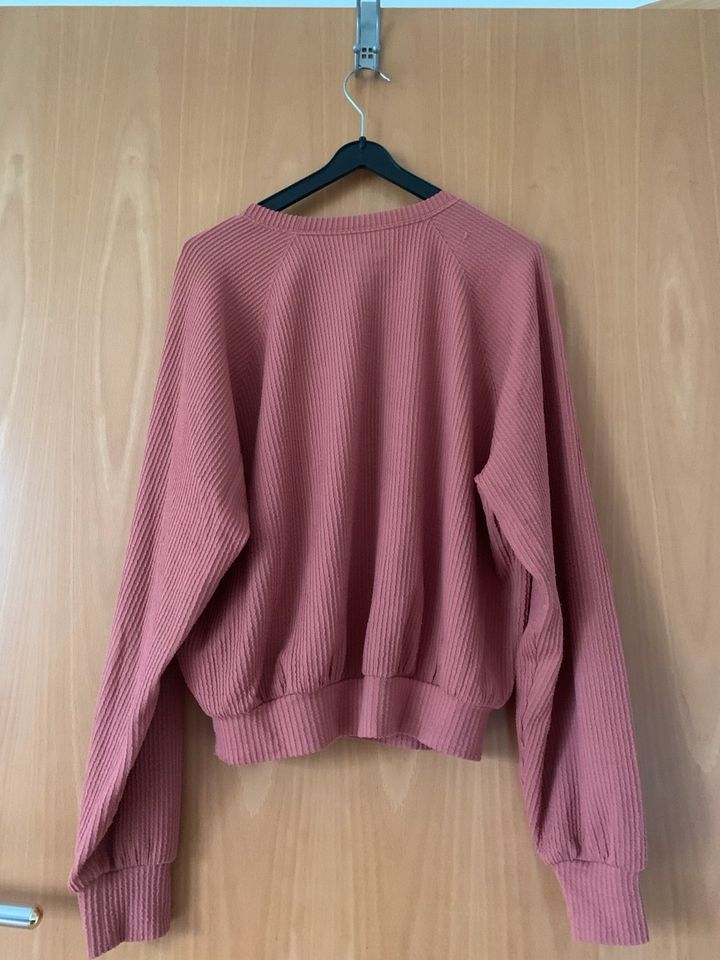 Damen Sweatshirt/Langarmshirt von Hollister Gr 36 (S) in Damme