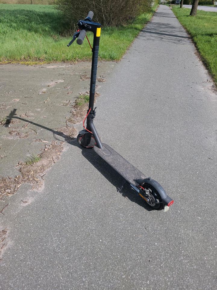 E scooter pro2 in Seedorf