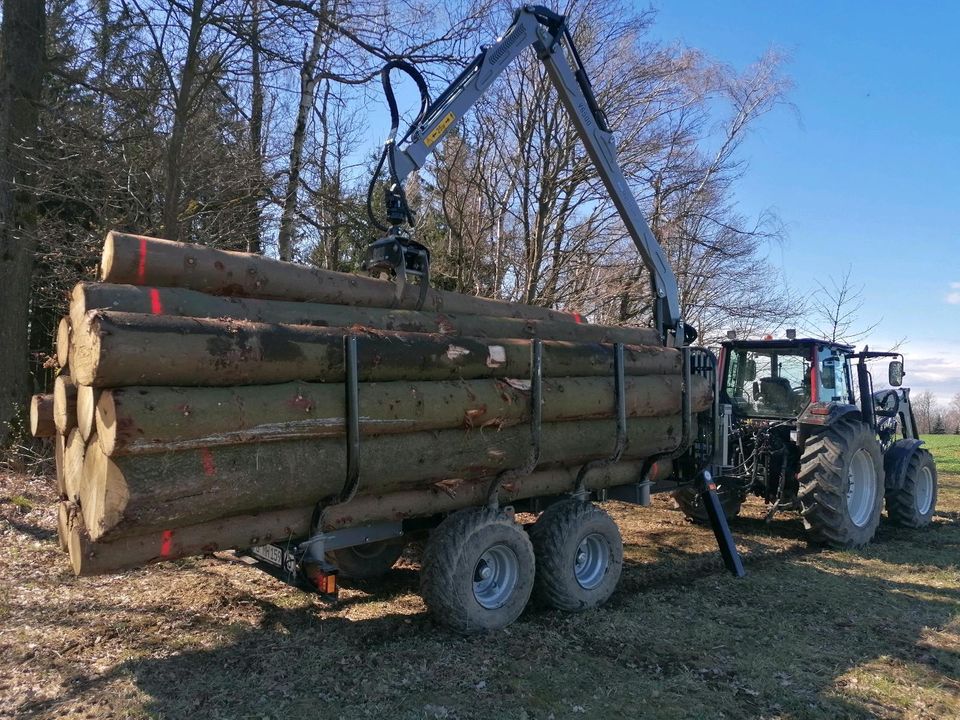 Holztransport, Holzrücken, Stammholz in Eppendorf