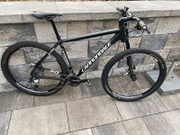 Cannondale Flash Alloy Sachsen - Auerbach Vorschau