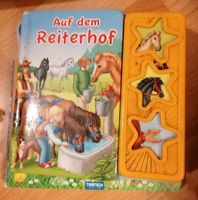 Buch Reiterhof Elektronik mit Geräuschen Sachsen-Anhalt - Südliches Anhalt Vorschau