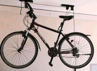 Hercules Herren Trekkingrad Fahrrad 28 Zoll schwarz 50 cm Rahmen Bayern - Eibelstadt Vorschau