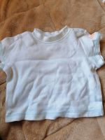 Baby T-Shirt Größe 56 Nordrhein-Westfalen - Lotte Vorschau