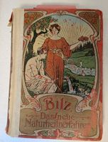 Bilz - Das neue Naturheilverfahren antiquarisch Supplement Band Baden-Württemberg - Schallstadt Vorschau