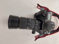 Canon EOS 1 D Mark 2 DIGITAL + SIGMA 135-400mm / 4.5-5.6 APO Friedrichshain-Kreuzberg - Kreuzberg Vorschau