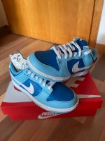 Nike Dunk Low Retro QS Argon || EU 40.5/ US 7.5 Hessen - Griesheim Vorschau