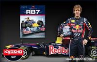 Deagostini RB7 Vettel Rc Verbrenner Neu! Red Bull 1-115 Rheinland-Pfalz - Alzey Vorschau