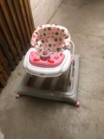 Schaukel tragbare BabyWalker Rheinland-Pfalz - Frankenthal (Pfalz) Vorschau