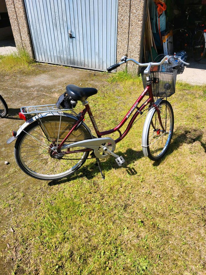 Damenrad 26er in Rot mit Korb in Dinslaken