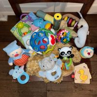 19 teilige Box mit Baby / Kleinkind Spielzeug Kreis Pinneberg - Appen Vorschau