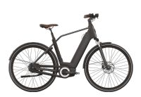 E-Bike QWIC Premium Q MN8 Brandenburg - Wittstock/Dosse Vorschau