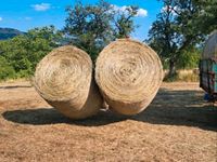 Heu Heuballen Rundballen 1.Schnitt 2023 Bayern - Forchheim Vorschau