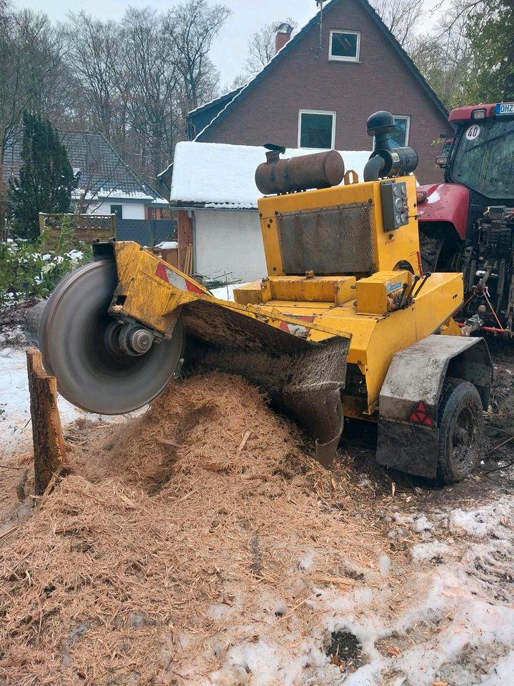 Baumstumpffräse Stubbenfräse 70cm Frästiefe Baumwurzel  Stubben in Hambergen