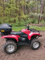 Quad ATV Yamaha Grizzly 660 LOF Zulassung Niedersachsen - Wohnste Vorschau