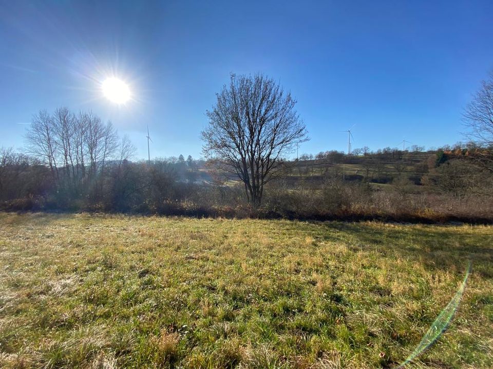 Ländliche Idylle - großzügiges Grundstück mit Wiese und Wald in Kirchleus in Kulmbach