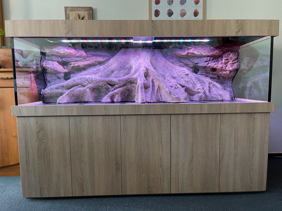 Aquarium Kombination 200 x 60 x 60cm 720l neu in diversen Dekoren in Dortmund