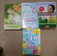 Bücher-Paket von Nora Roberts Rachel Gibson Emma Sternberg Bayern - Knetzgau Vorschau