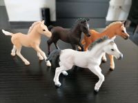 4 Schleich Bayala Fohlen Horseclub Neu Hessen - Niestetal Vorschau