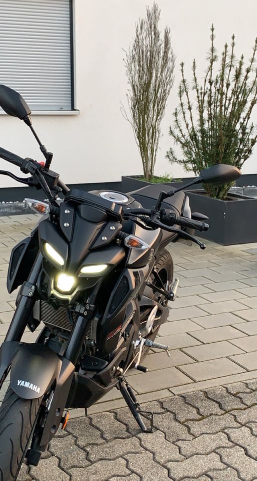 Yamaha MT125 ** 3 Jahre Garantie** in Zeiskam