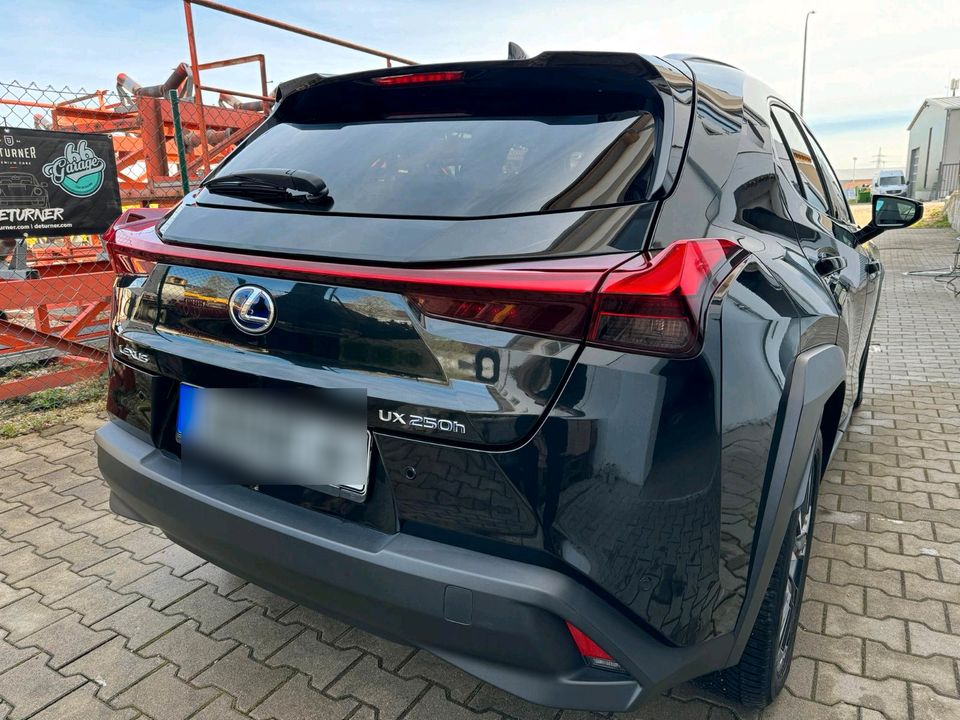 Lexus UX 250 H in Hohenthann