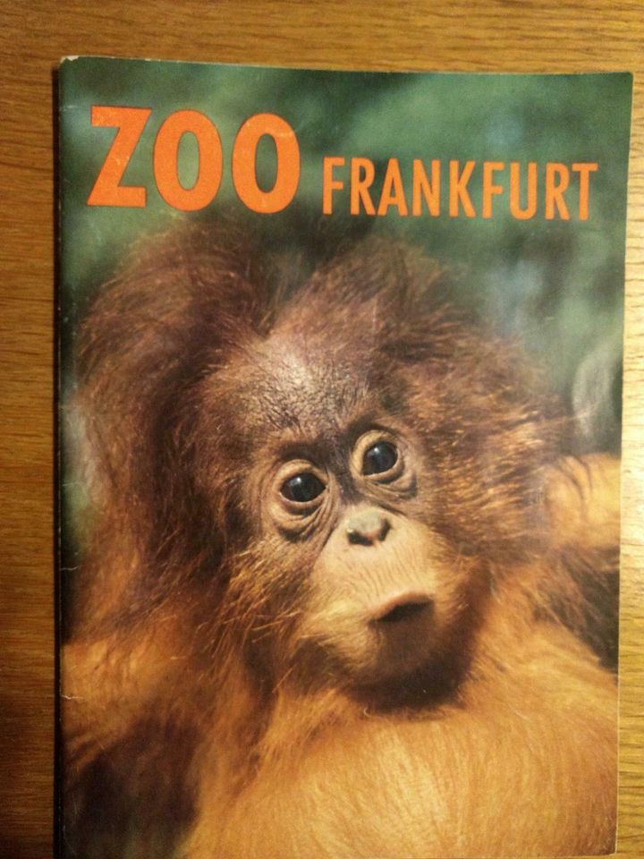 Antiquarisches Heft Tiere Zoo Frankfurt (Prof. Grzimek) Ausg.1961 in Mühlacker