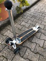 Skateboard mit Lenkstange Rheinland-Pfalz - Waldsee Vorschau