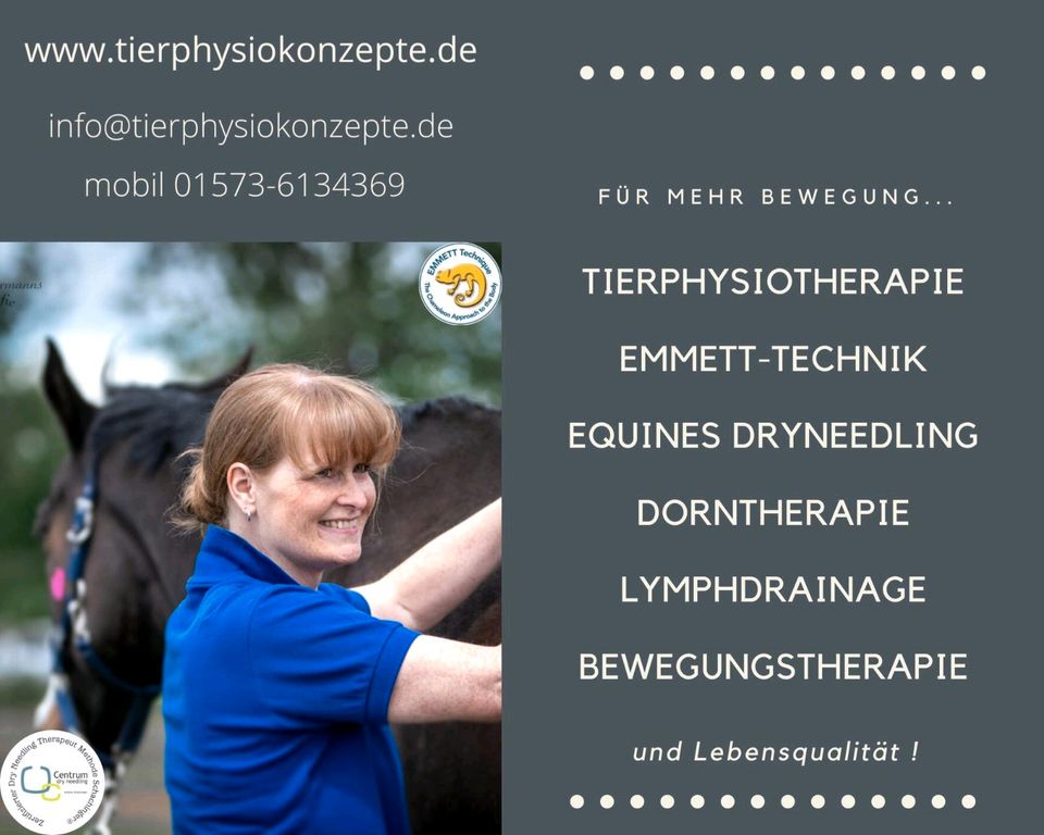 Hundephysiotherapie | PhysioDogWalk | Gassi in Köln