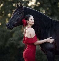 Abendkleid Midikleid Baden-Württemberg - Ettlingen Vorschau