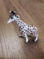 Schleich 2453 kleine Giraffe Nordrhein-Westfalen - Niederkrüchten Vorschau