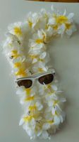 Sonnenbrille Malibu mit passender Hawaiikette Nordrhein-Westfalen - Moers Vorschau