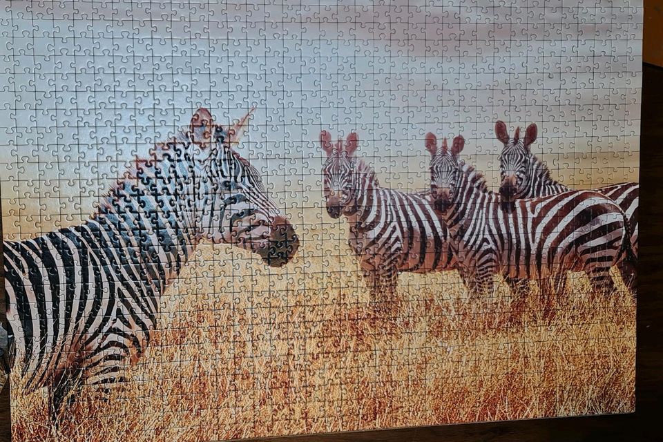 Puzzle 1000 Teile Zebras in Hechingen