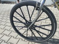 28 Zoll Kunststoff Laufradsatz Singlespeed Bayern - Donaustauf Vorschau