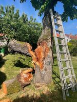 Gartenpflege Hessen - Mörlenbach Vorschau