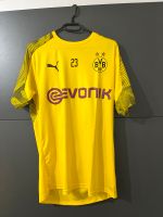BVB Trainings T-Shirt Nordrhein-Westfalen - Ahlen Vorschau