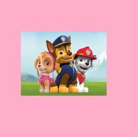 BIO Stoff Panel Jersey 001# Paw Patrol Skye Marshall Case *NEU* Bayern - Wallenfels Vorschau