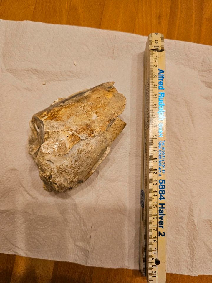Mineralien mammut Deggendorf in Tüßling