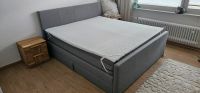 Boxspringbett Niedersachsen - Braunschweig Vorschau