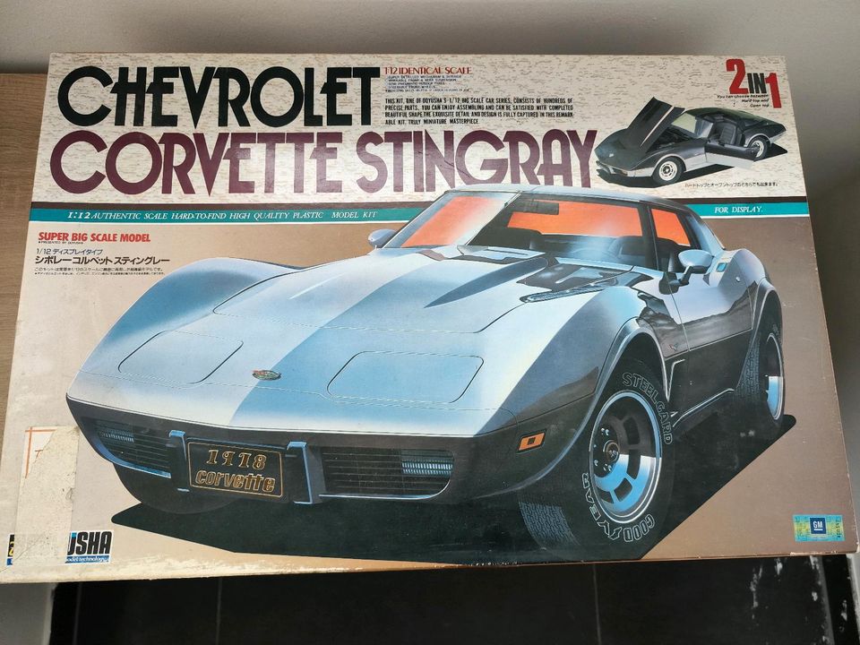 2x Doyusha Chevrolet Corvette Stingray 1:12 in Zettingen