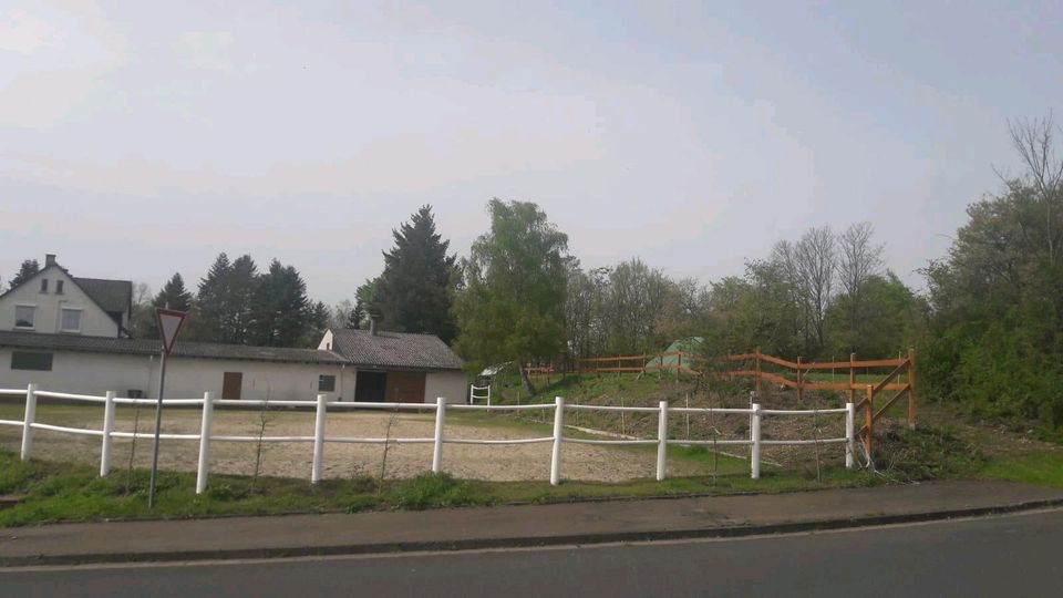 Pferdeboxen in Pohlheim zu vermieten in Pohlheim