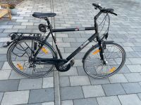 Fahrrad Pegasus Piazza Rahmen 61 Bayern - Oberschönegg Vorschau