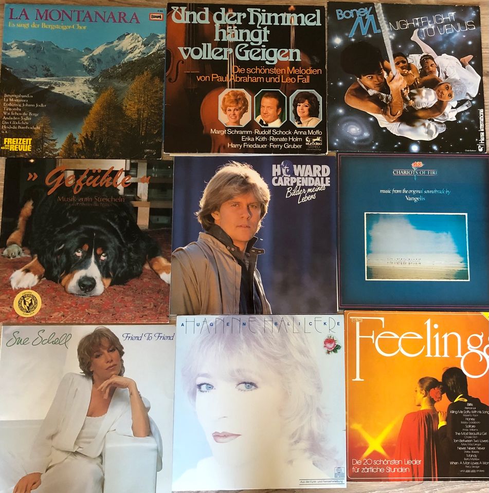 Schallplatten Nr. 2 - verschiedene Jahrzehnte und Genres in Lichtenfels