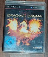 Dragon's Dogma PS3 Baden-Württemberg - Zimmern ob Rottweil Vorschau