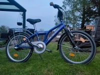 20 Zoll Kinder Junge Mädchen Fahrrad Sachsen - Zittau Vorschau